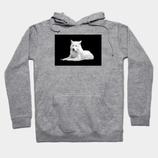 White Wolf / Swiss Artwork Photography Hoodie